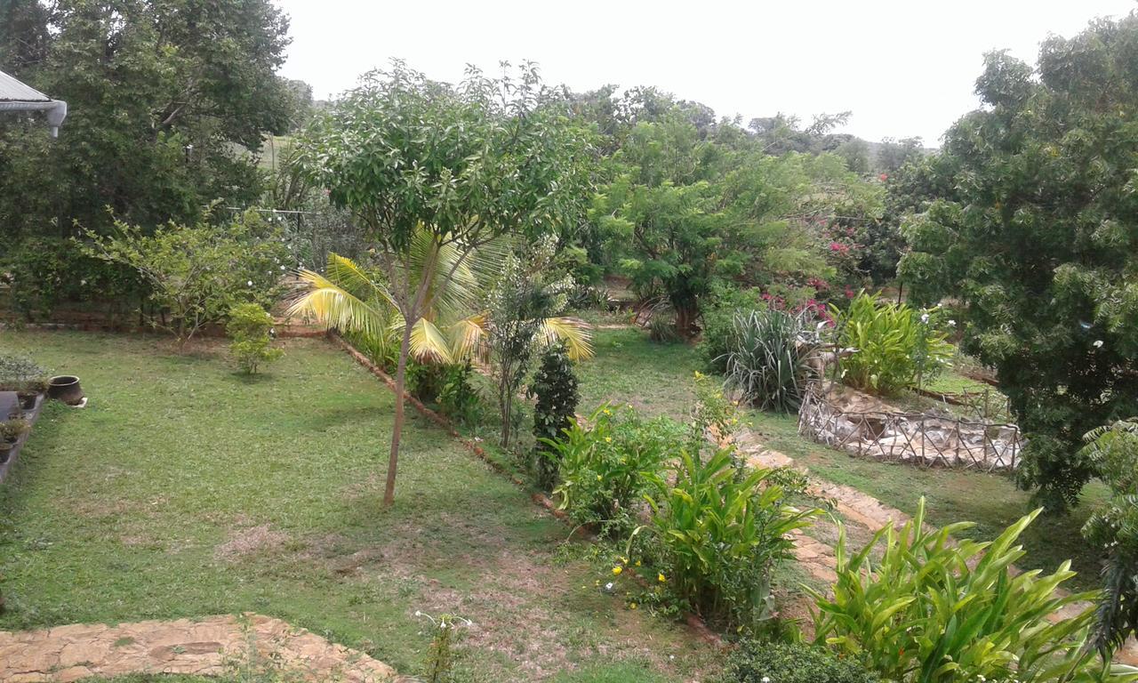 Travelway Village Habarana Bagian luar foto